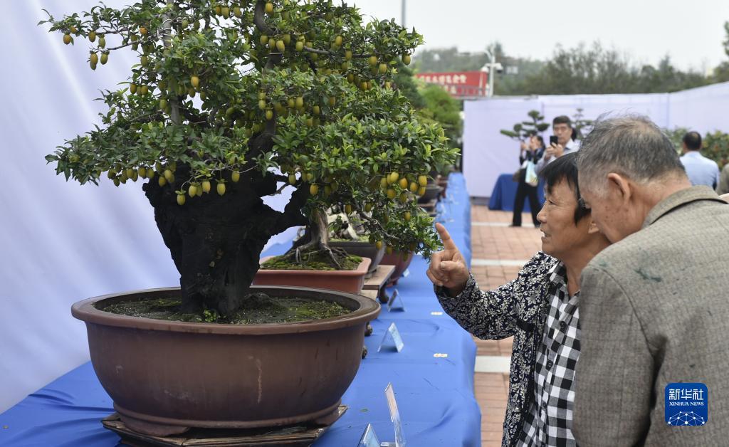 富二代棋牌官网