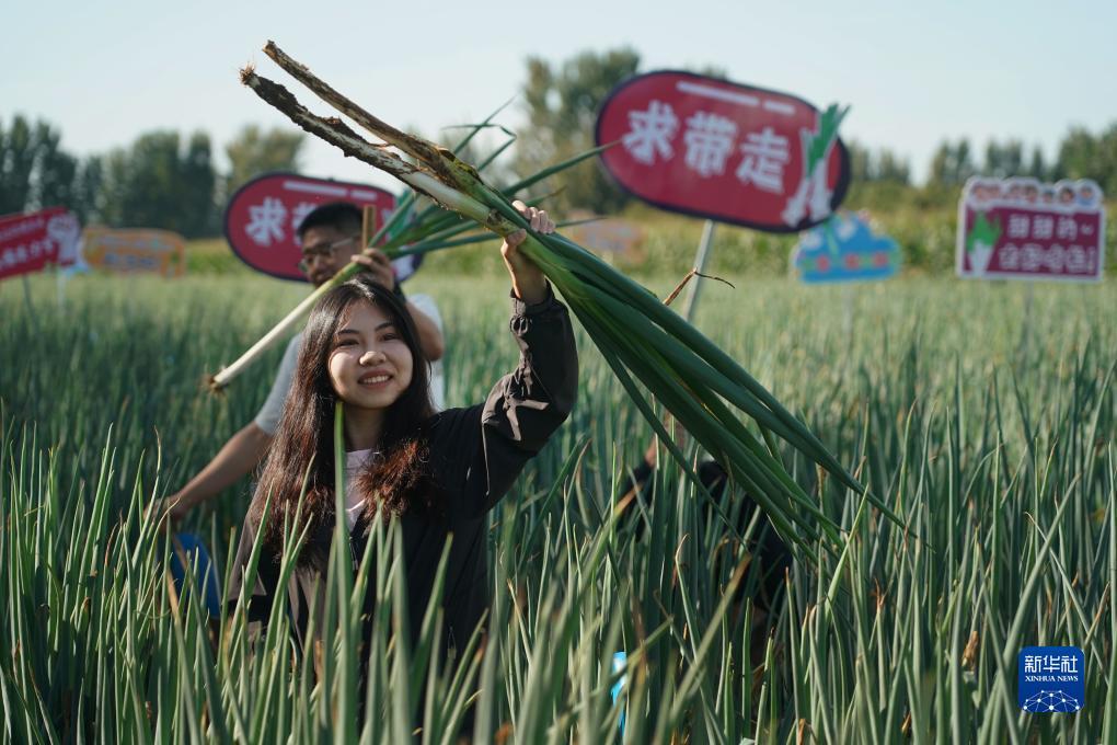 乐虎游戏官网